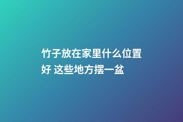 竹子放在家里什么位置好 这些地方摆一盆